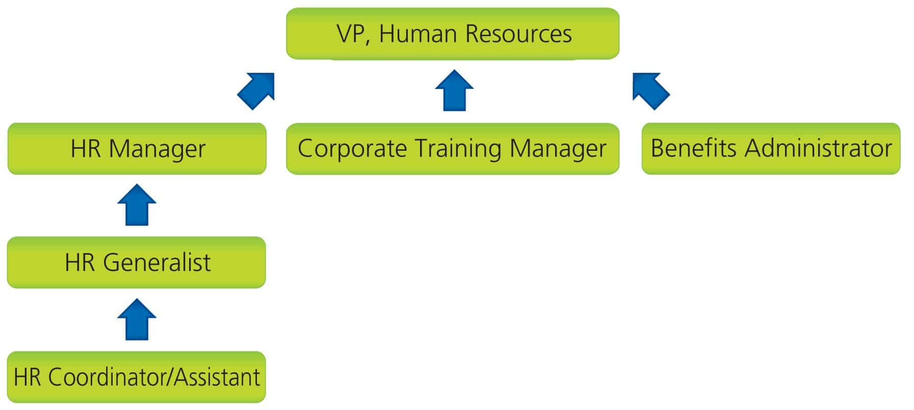 Mainroad Human Resources Org Chart